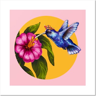 hummingbird bird Posters and Art